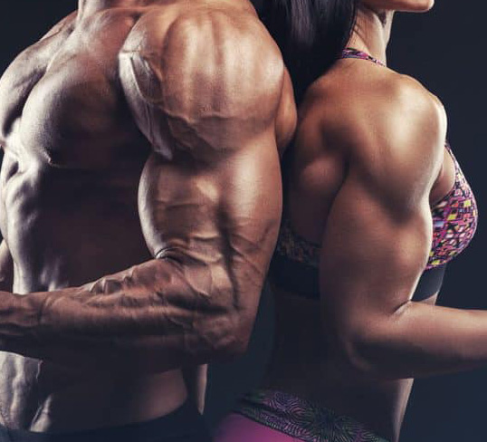 Female Gain Muscle Macro Plan With Supplement Guide